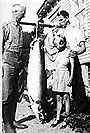Thomas and Leif Frysaa. This Salmon was caught in a net. The weight was 29,5 kg.